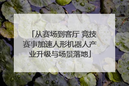 从赛场到客厅 竞技赛事加速人形机器人产业升级与场景落地