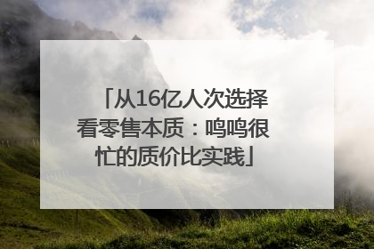 从16亿人次选择看零售本质：鸣鸣很忙的质价比实践