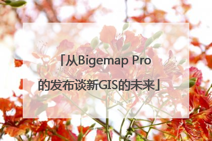 从Bigemap Pro的发布谈新GIS的未来