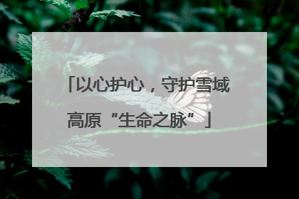 以心护心，守护雪域高原“生命之脉”