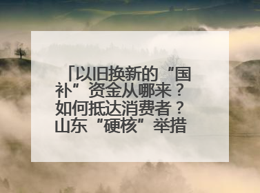 以旧换新的“国补”资金从哪来？如何抵达消费者？山东“硬核”举措有这些→
