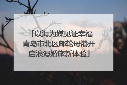 以海为媒见证幸福 青岛市北区邮轮母港开启浪漫婚旅新体验