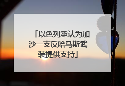 以色列承认为加沙一支反哈马斯武装提供支持