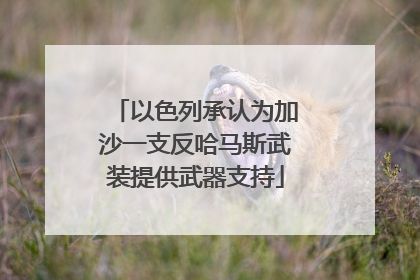 以色列承认为加沙一支反哈马斯武装提供武器支持