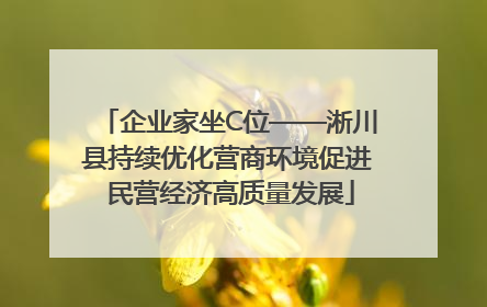 企业家坐C位——淅川县持续优化营商环境促进 民营经济高质量发展