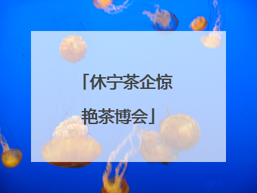 休宁茶企惊艳茶博会