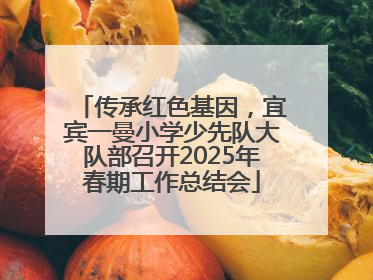 传承红色基因，宜宾一曼小学少先队大队部召开2025年春期工作总结会