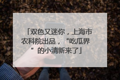 双色又迷你，上海市农科院出品，“吃瓜界”的小清新来了