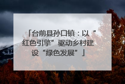 台前县孙口镇：以“红色引擎”驱动乡村建设“绿色发展”
