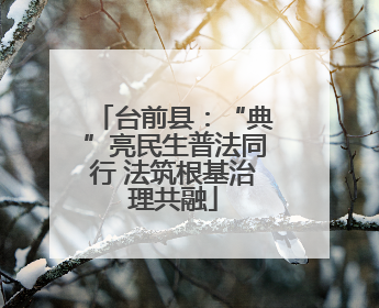台前县：“典”亮民生普法同行 法筑根基治理共融
