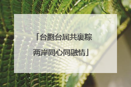 台胞台属共裹粽 两岸同心同融情