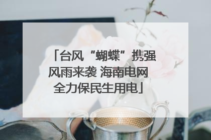 台风“蝴蝶”携强风雨来袭 海南电网全力保民生用电