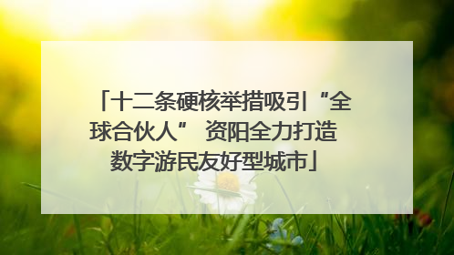 十二条硬核举措吸引“全球合伙人” 资阳全力打造数字游民友好型城市