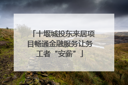 十堰城投东来居项目畅通金融服务让务工者“安薪”