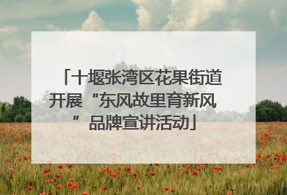 十堰张湾区花果街道开展“东风故里育新风”品牌宣讲活动