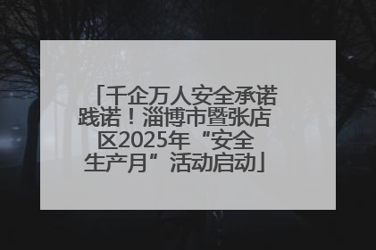 千企万人安全承诺践诺！淄博市暨张店区2025年“安全生产月”活动启动