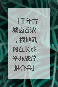 千年古城卤香浓，福地武冈在长沙举办旅游推介会