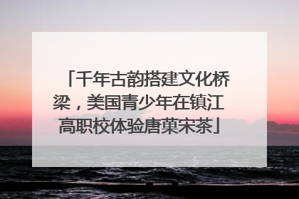 千年古韵搭建文化桥梁，美国青少年在镇江高职校体验唐菓宋茶