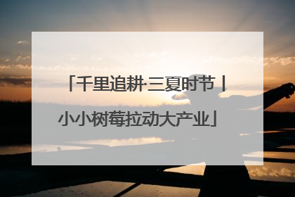 千里追耕·三夏时节丨小小树莓拉动大产业