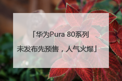 华为Pura 80系列未发布先预售，人气火爆