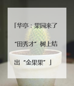 华亭：果园来了“田秀才”树上结出“金果果”