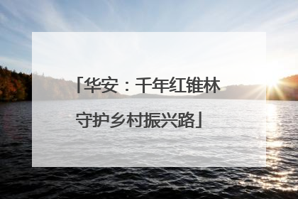 华安：千年红锥林守护乡村振兴路