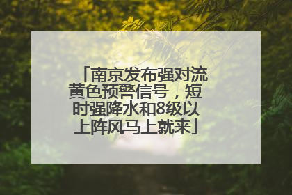 南京发布强对流黄色预警信号，短时强降水和8级以上阵风马上就来