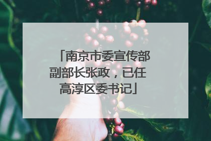 南京市委宣传部副部长张政，已任高淳区委书记