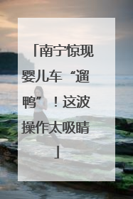 南宁惊现婴儿车“遛鸭”！这波操作太吸睛