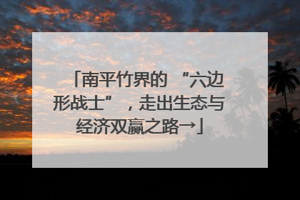 南平竹界的 “六边形战士”，走出生态与经济双赢之路→