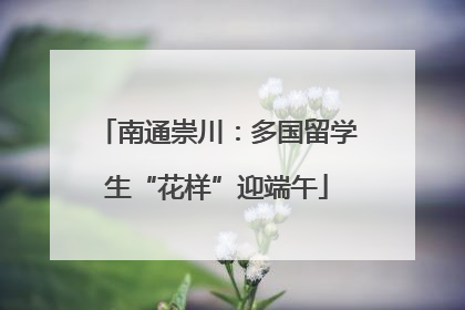 南通崇川：多国留学生“花样”迎端午