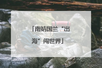 南靖国兰“出海”闯世界
