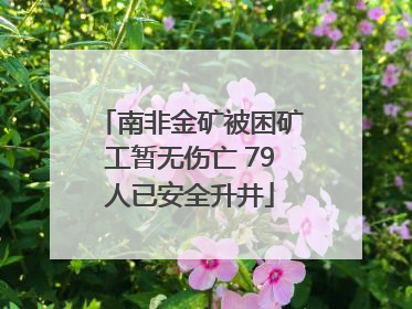 南非金矿被困矿工暂无伤亡 79人已安全升井