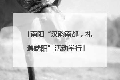 南阳“汉韵南都，礼遇端阳”活动举行