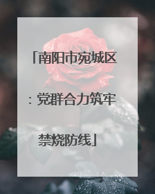 南阳市宛城区：党群合力筑牢禁烧防线