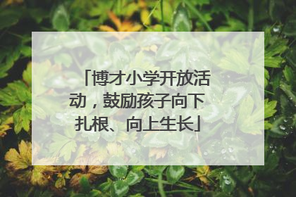 博才小学开放活动，鼓励孩子向下扎根、向上生长