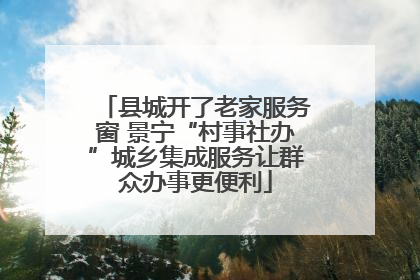 县城开了老家服务窗 景宁“村事社办”城乡集成服务让群众办事更便利