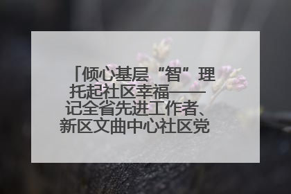 倾心基层“智”理 托起社区幸福——记全省先进工作者、新区文曲中心社区党委书记董世弘