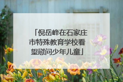 倪岳峰在石家庄市特殊教育学校看望慰问少年儿童