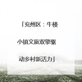 兖州区：牛楼小镇文旅双擎驱动乡村新活力
