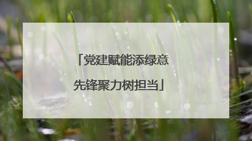 党建赋能添绿意 先锋聚力树担当