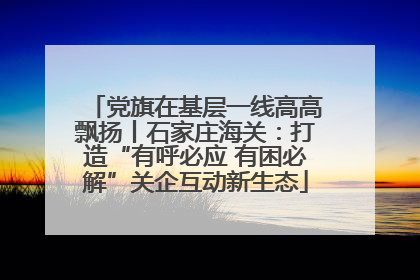 党旗在基层一线高高飘扬丨石家庄海关：打造“有呼必应 有困必解”关企互动新生态