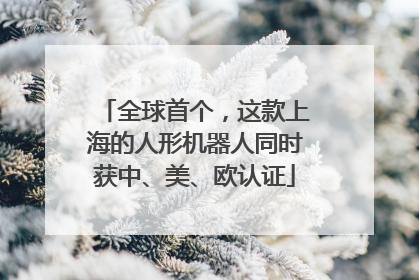 全球首个，这款上海的人形机器人同时获中、美、欧认证