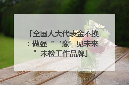 全国人大代表金不换：做强“‘豫’见未来”未检工作品牌