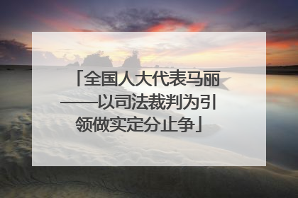 全国人大代表马丽——以司法裁判为引领做实定分止争