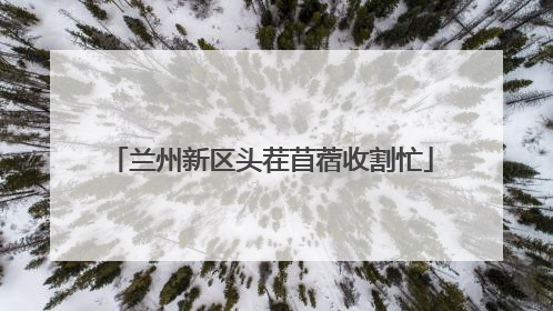 兰州新区头茬苜蓿收割忙