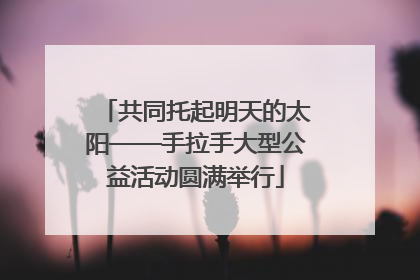 共同托起明天的太阳——手拉手大型公益活动圆满举行