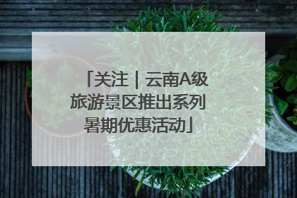 关注｜云南A级旅游景区推出系列暑期优惠活动