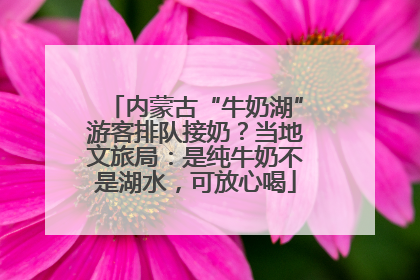 内蒙古“牛奶湖”游客排队接奶？当地文旅局：是纯牛奶不是湖水，可放心喝