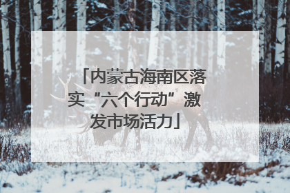内蒙古海南区落实“六个行动”激发市场活力